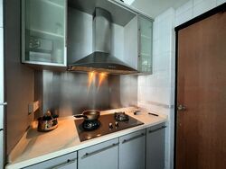 Parc Oasis (D22), Condominium #458558021